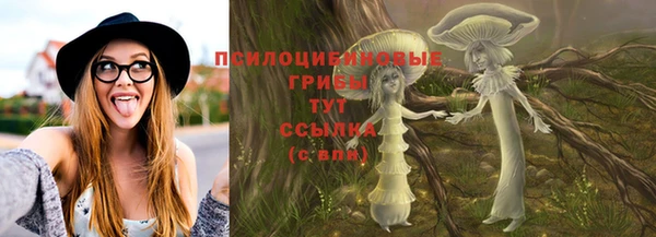 эйфоретик Алексеевка